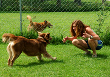 dog training philosophy 